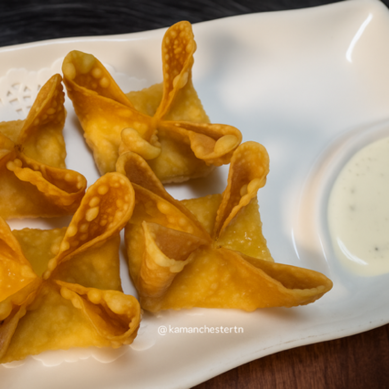 Savor Our Wontons